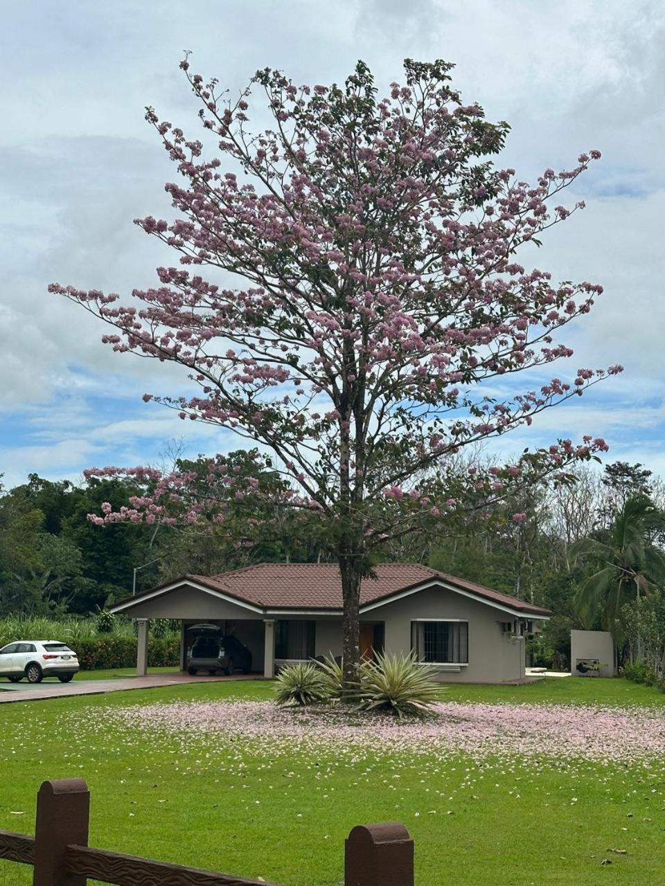 Casa Roble Fortuna La Fortuna Ngoại thất bức ảnh